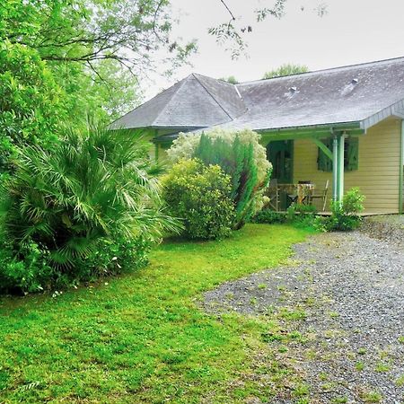 Le Chalet Du Bief Eysus Екстер'єр фото
